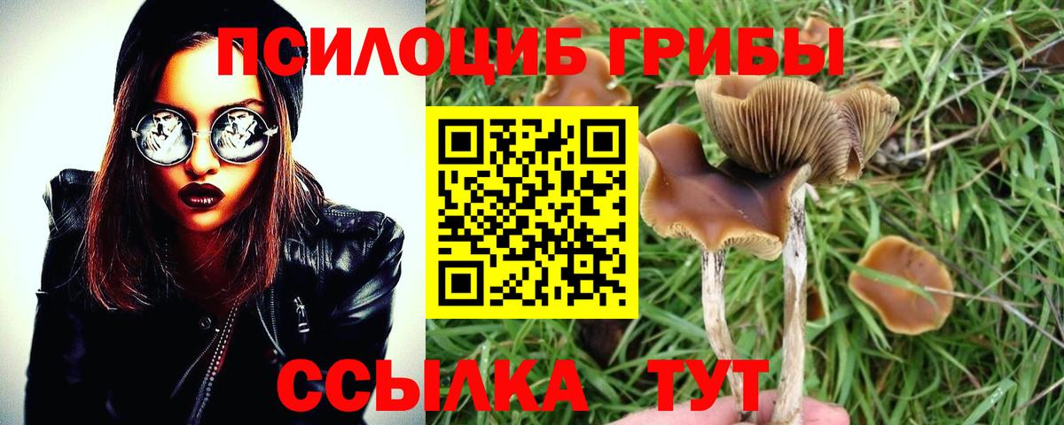 Псилоцибиновые грибы Magic Shrooms Кириши